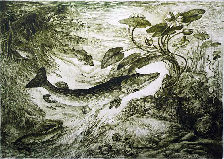 Kuksi Viive näütüsepilt «Haug ja vesiruus».