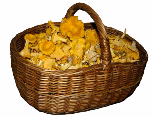 Ki&auml; om Vana-V&otilde;romaa seenekuning?