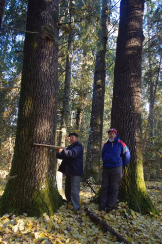 Vana-Võromaa kõgõ jämmämbä haava