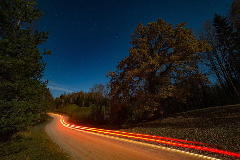 Vana-Võromaa preemiä saanu pilt pühäst Mustahamba tammõst Haanimaal