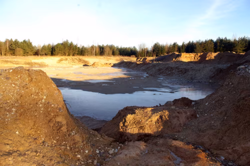 Lumbinipil pitur pääl