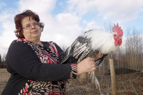 Tsirkõ ei või välän pitä