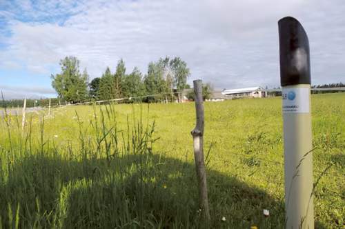 Kip&otilde; internet kodo mano