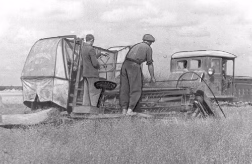 Linakasvatus, majandidõ lisatulu