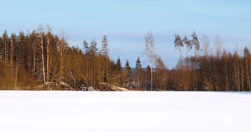 Uma riigi sünnüpäiv!