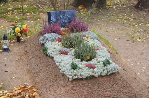 Lille ja pärgi pallõ mitte tuvva