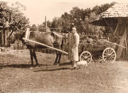 Hobõsõga kartolipandminõ