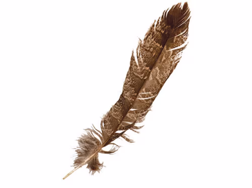 Jututalgolõ saadõti 64 juttu