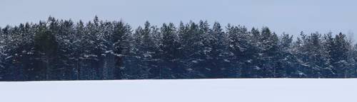 Kõiki asjo saa kõnõlõmisõga kõrda aia