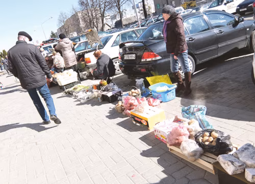 Latsiga Valg&otilde;vinnemaal Grodnon