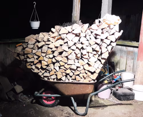 Eg&auml; jalasamm mass