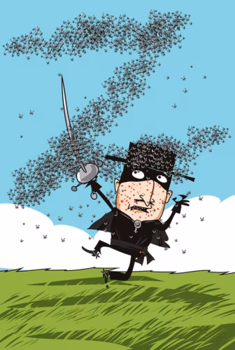 Parm tsuskas: Suvi tulõ ja kiholasõ ründäse? Appi ruttas Zorro!