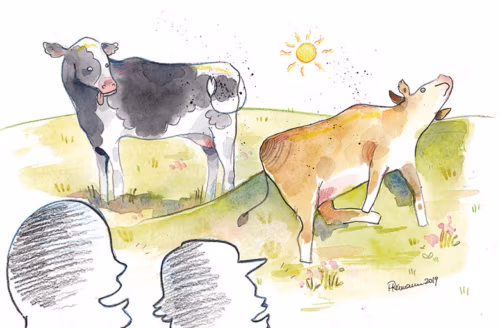 Üte härävasiga elolugu