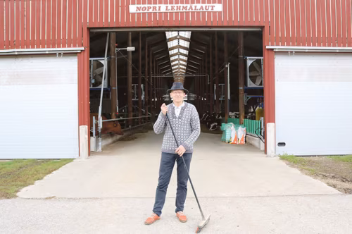 Nopri talomeierei tege vallal&otilde; vahts&otilde;s tett&uuml; lehm&auml;lauda