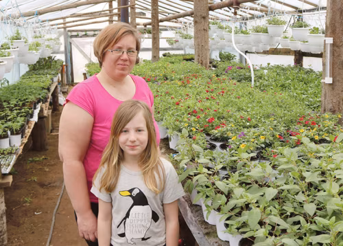 Kasvumajaimänd Elgita