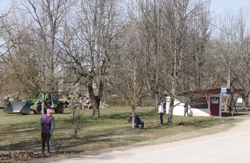 Kodokandi kraamminõ tetti seokõrd distantsi hoitõn