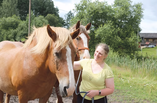 Maaelämise uutva küläliidsi