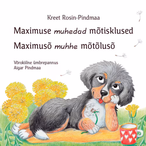 Kar’apini Maximusõ mõtõlusõ saiva kaasi vaihõlõ