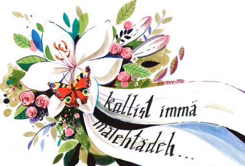 P&auml;&auml;v&auml;paabusilm&auml;line h&uuml;v&auml;stej&auml;tt