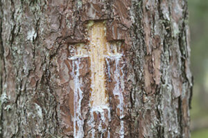 Täpsustõdas ristipuiõ asupaiku