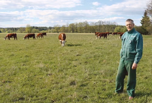 Koivakonnu luudus&otilde;hoitja