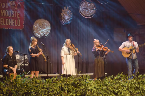 Moosten peetäs folgipito