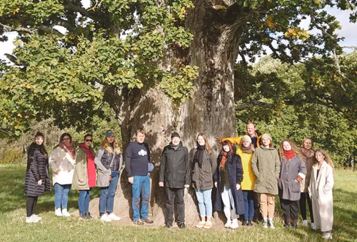 Reis &otilde;dagupoolits&otilde;l V&otilde;romaal