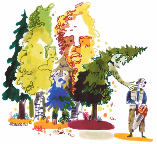 M&otilde;tsa hel&uuml;