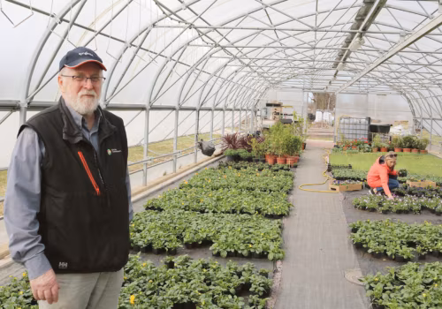 Aiakasvu ja -tarkus Räpinält