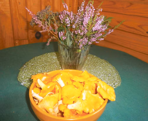 Luudus pand iks vasta ja inemiisil om egaütel uma paradiis