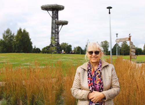 Kogokunnafestival R&otilde;ug&otilde;n