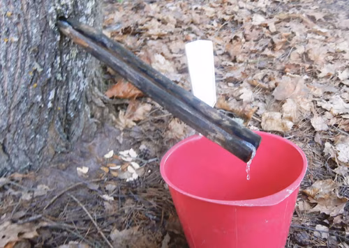 Kevv&auml;i k&auml;en!