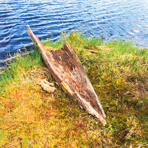 Eesti kõgõ vanõmb sõiduriist